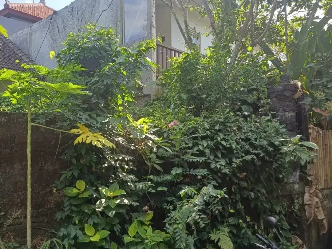 Tanah SHM Bonus Rumah – Ayung, A. Yani Utara - Image 2 of 3