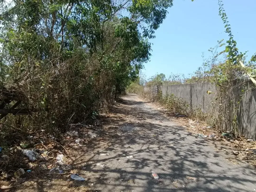 [PRIME LOCATION] 1,300 sqm (13 Are) Yellow Zone Land on Jl. Pura Masuka, Ungasan – Ideal for Villa Complex / Homestay - Image 2 of 7
