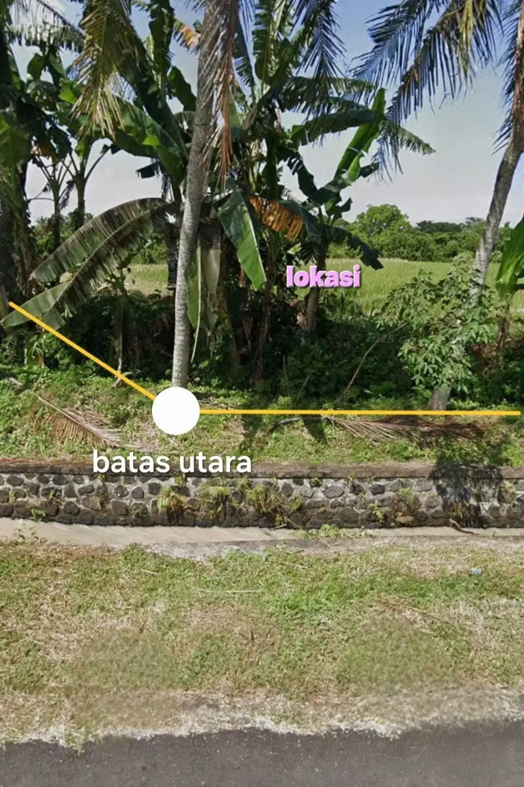 Jual tanah 6445m2 tegal megkeb tabanan - Image 3 of 7