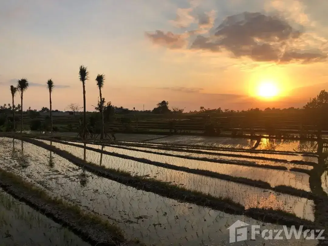 Land for sale in Kediri, Bali - Image 4 of 6