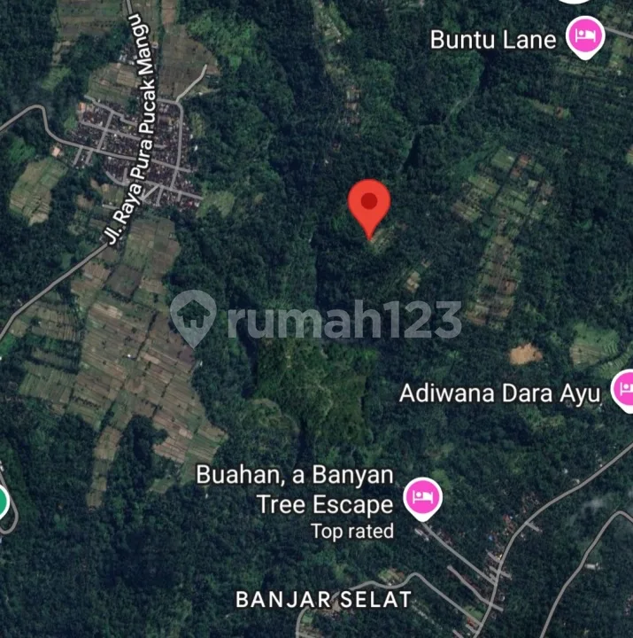 For Sale, Cheapest Land Area 50,100 M2 (5 Hectares) In Ubud, Gianyar, Bali - Image 4 of 4