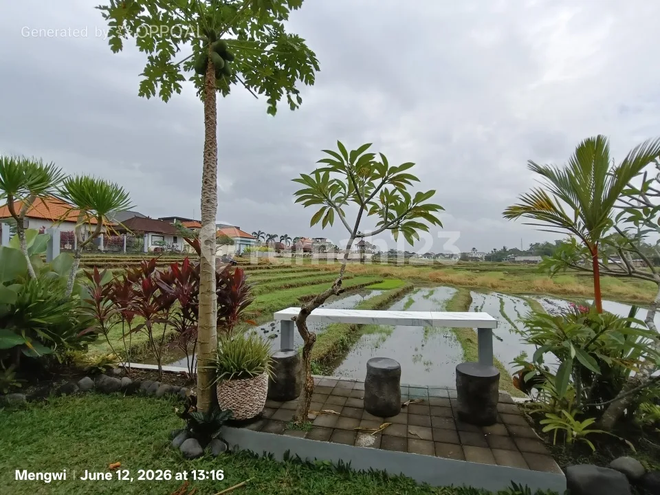 House For Rent - 2Br Fully Furnished With Rice Field View In Beraban, Tabanan | 4 Minutes To Nyanyi Beach & Nuanu - Image 1 of 4