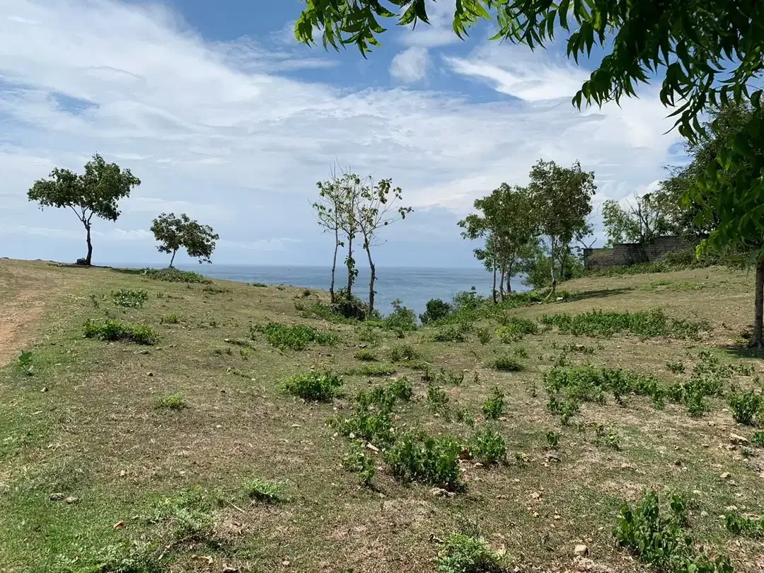 TANAH TEPI TEBING PANTAI BINGIN PECATU - Image 10 of 10