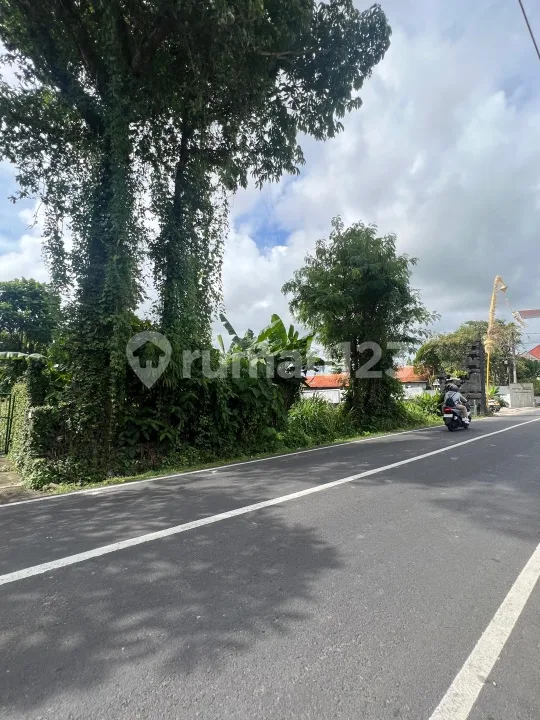 Tanah 15 Are Jalan Utama Pererenan Badung - Image 3 of 4