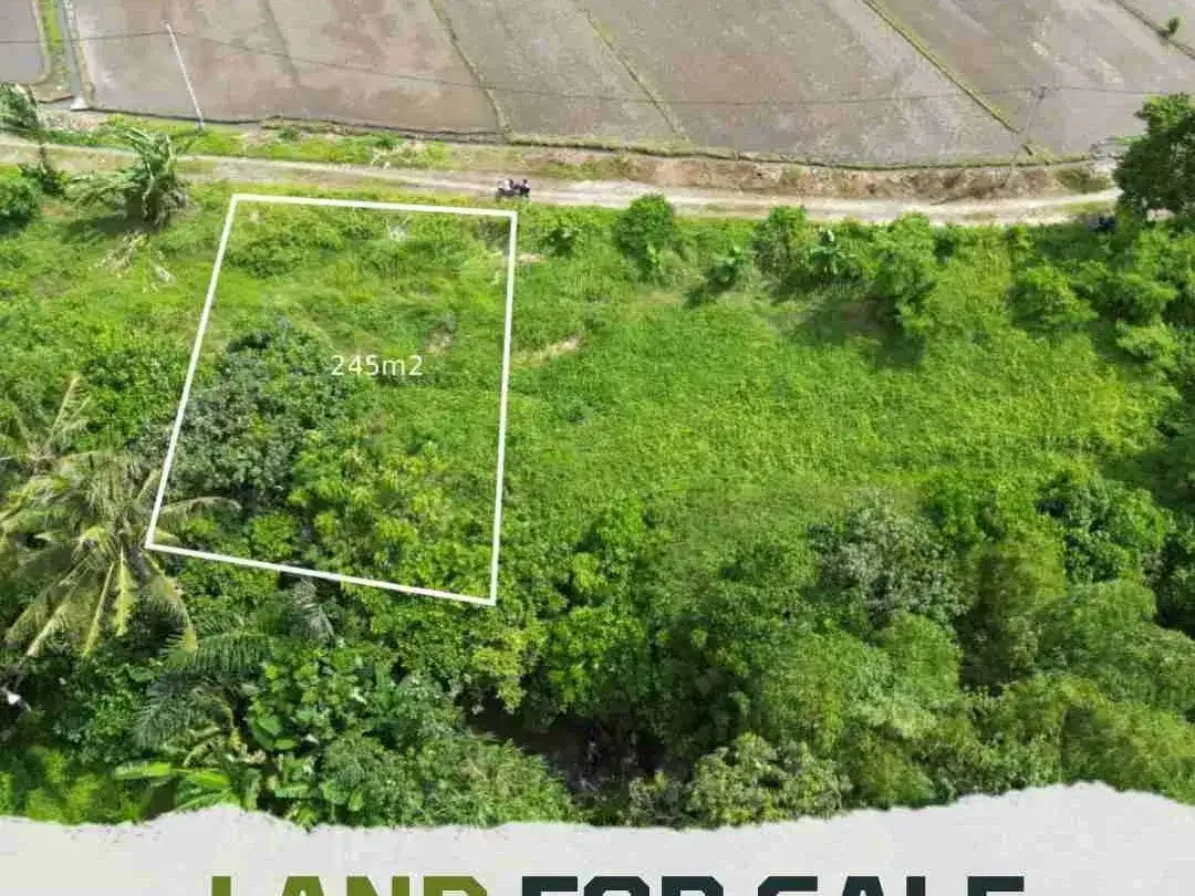 TANAH DIJUAL CEPAT LOKASI KEDUNGU NYITDAH - BALI - Image 1 of 4