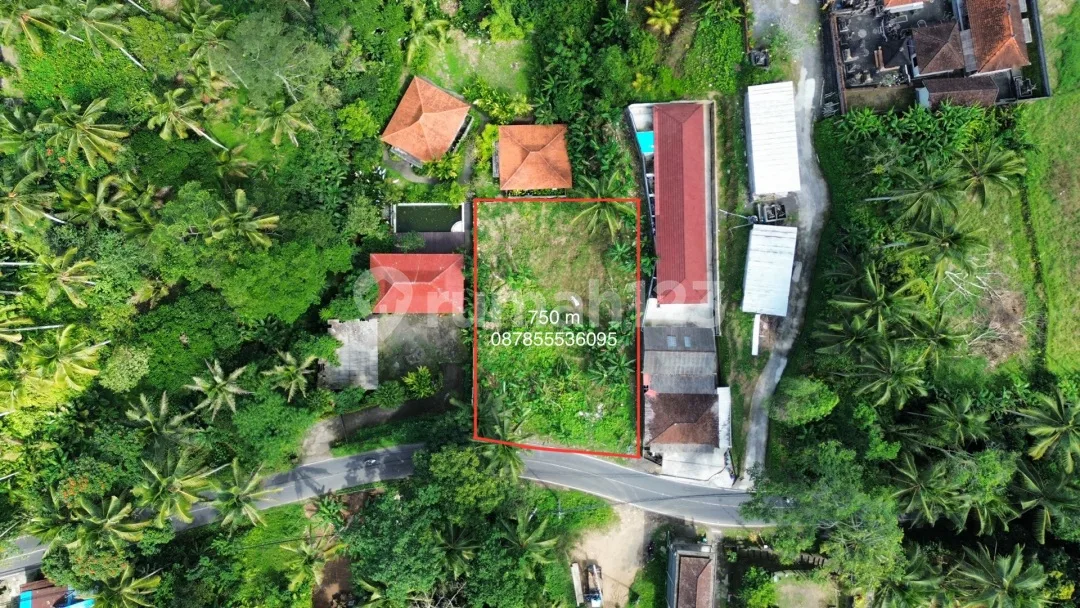 Dijual Lahan Premium Lokasi Hanya 1,5 KM Dari Capella Ubud SHM - Image 1 of 4
