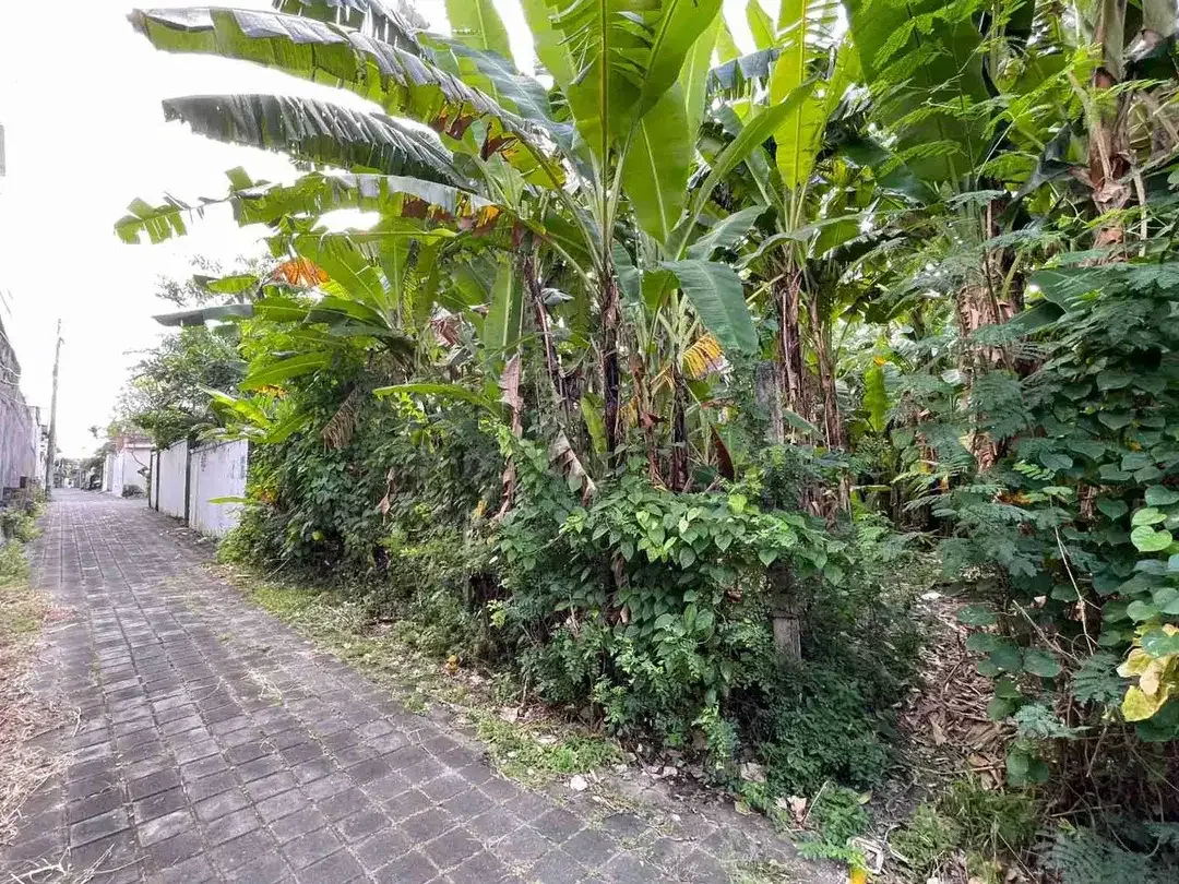 DIJUAL / FREEHOLD : Tanah Kecil Premium, 3,15 Are, Jl. Pantai Batu Belig Badung, Bali - Image 2 of 8