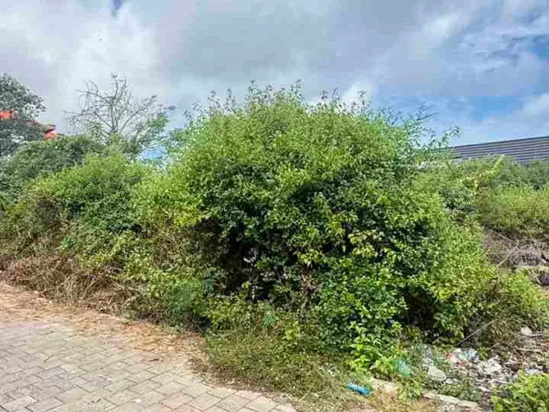 Dijual Tanah 200m2 Hanya 7 Menit ke Pantai Melasti - Image 3 of 10