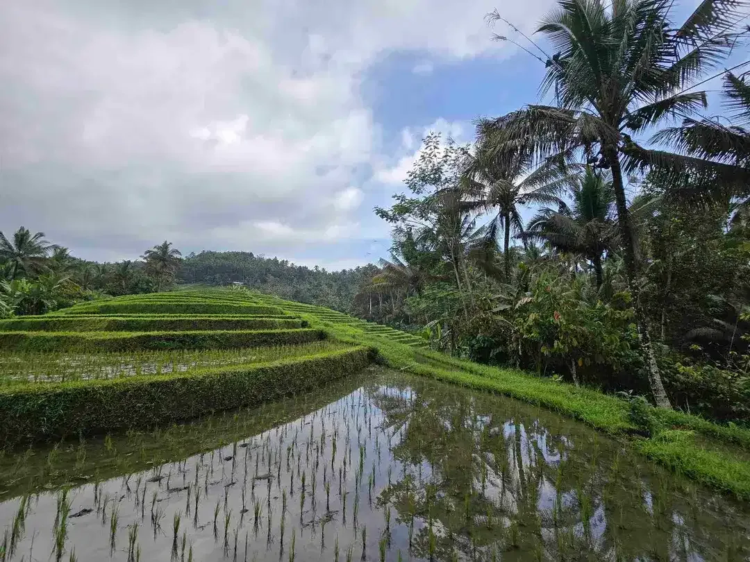 dijual tanah murah view cantik di tabanan bali - Image 2 of 10