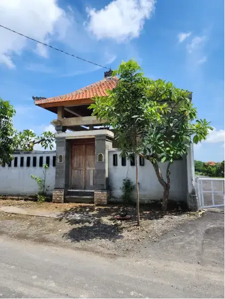 tanah bonus villa di kayu tulang canggu - Image 3 of 10