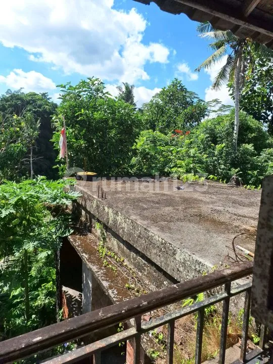 Rumah Pejeng Kelod Ubud Dikontrakan - Image 3 of 4