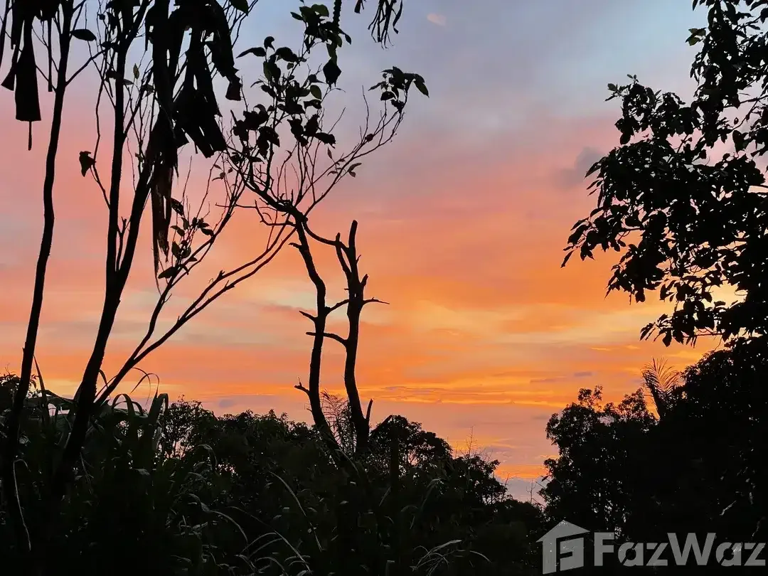 Land for sale in Banjar, Bali - Image 8 of 10