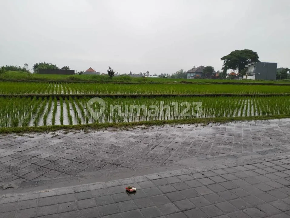 Villa View Sawah Strtegis Dekat Pantai di Munggu - Image 4 of 4