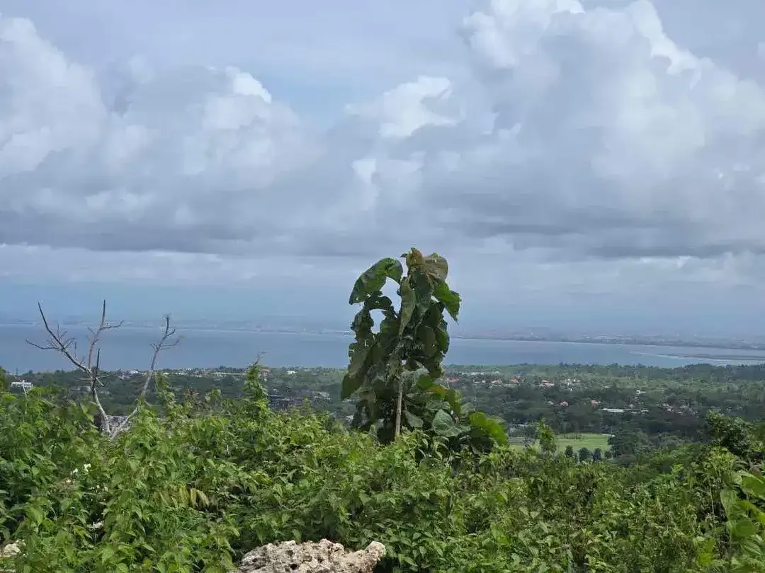 Lahan kosong disewakan dan dijual dengan full view laut,dekat dengan pantai lokasi cemongkak Bingin. - Image 8 of 8