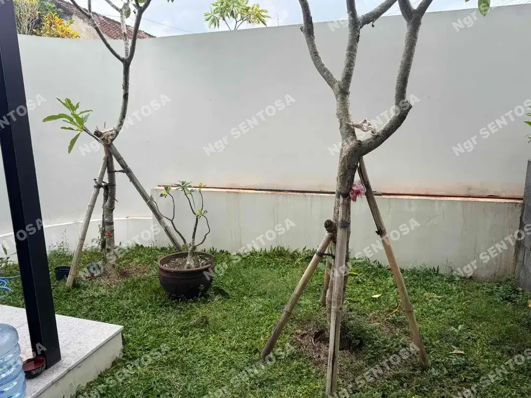 RUMAH MEWAH LIVING WORLD GATSU TIMUR - Image 5 of 10