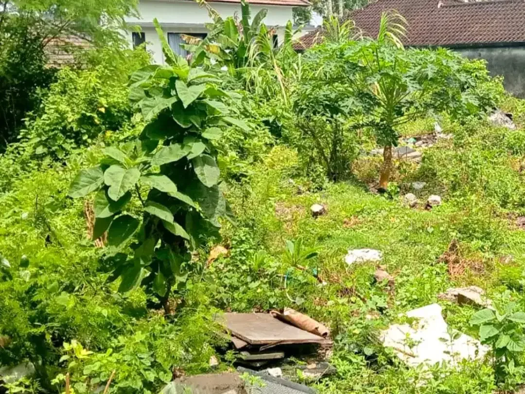 Dijual Murah Tanah Strategis Ungasan. Lokasi Hanya 20 meter dari Jalan Utama Goa Gong Ungasan, Kuta Selatan, Badung, Bali - Image 4 of 4