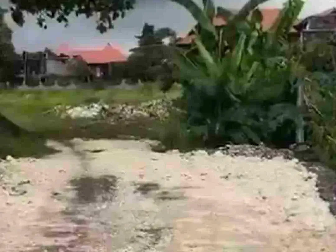 dijual tanah 10.600 m² IDR 3 milyar  per are beach front batu Belig Seminyak Badung Bali - Image 7 of 10