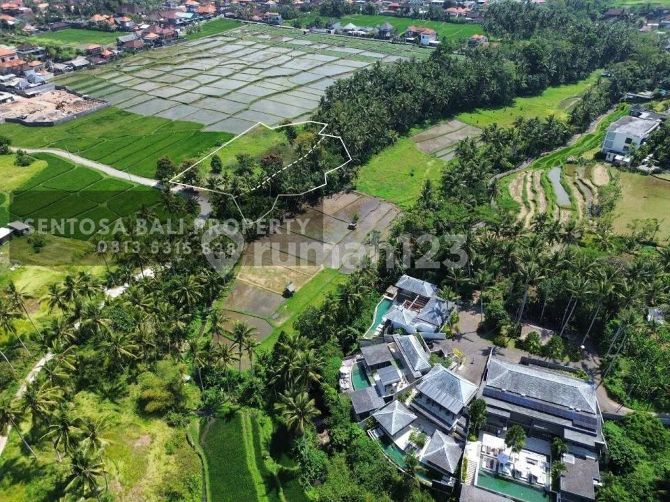 Tanah View Sawah di Lodtunduh Ubud 4018MÂ² - Image 4 of 4