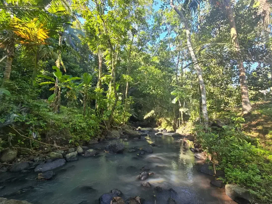 Dijual tanah di bali los sungai dengan view exotik jugle - Image 2 of 10