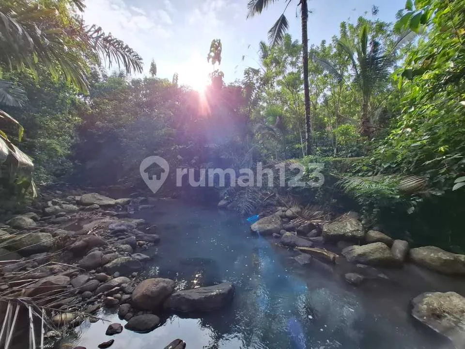 Dijual Tanah Los Sungai Bebatuan Murah Dekat Villa.di Tabanan Bali - Image 3 of 4
