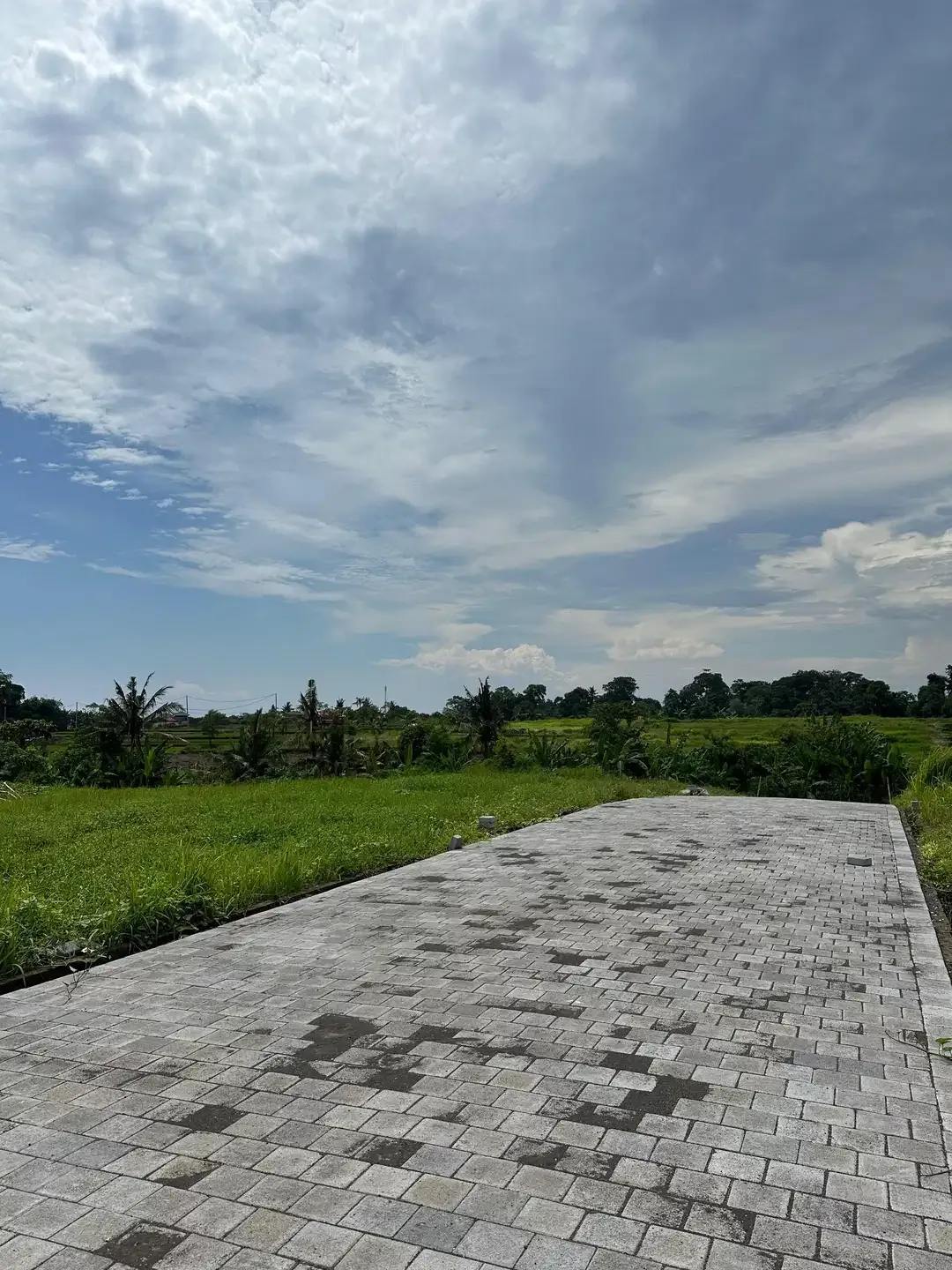 DIJUAL TANAH PANTAI KEDUNGU DEKAT CANGGU - Image 3 of 10