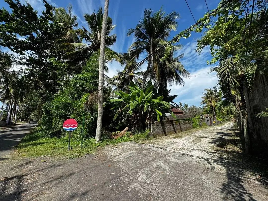 Potential tourism market leasehold lands Saba Beach - Image 6 of 10