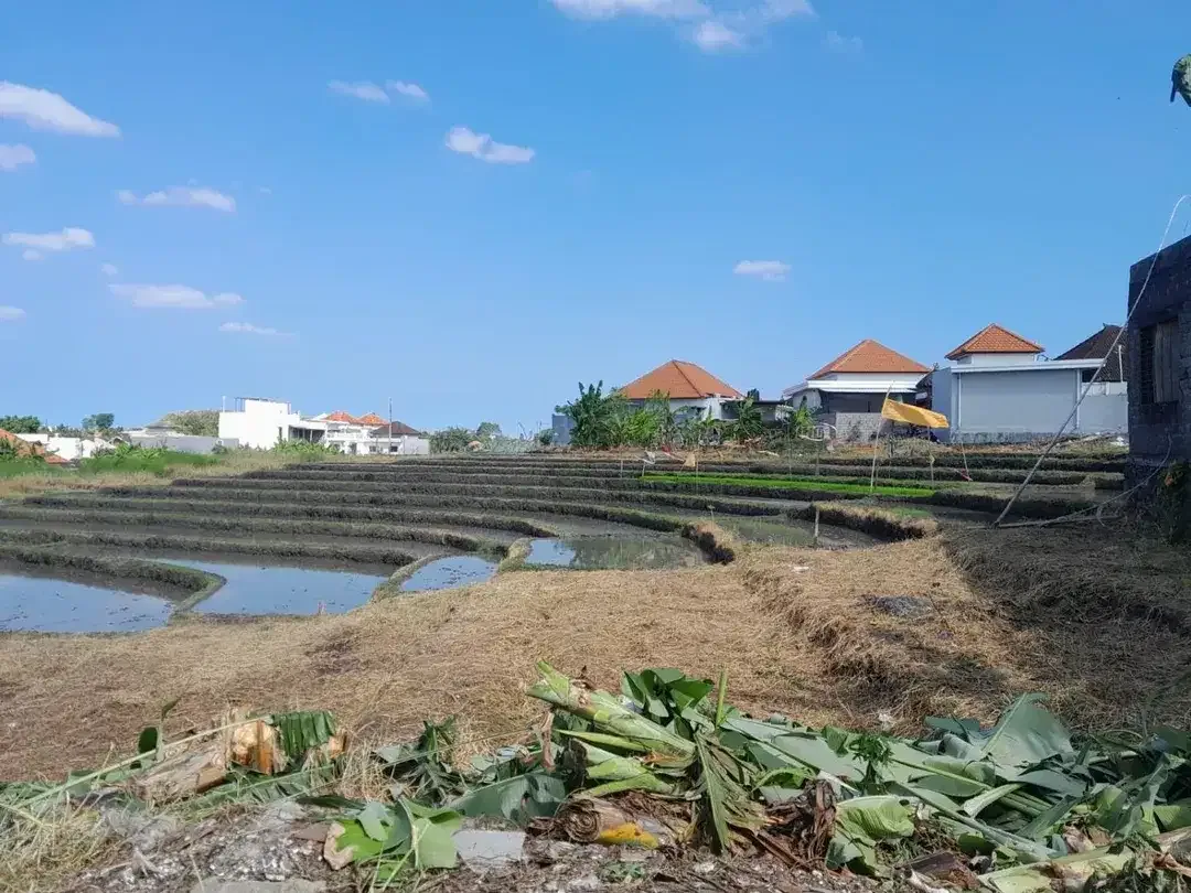 Tanah View Sawah Kayu Tulang Utara Canggu Bali - Image 8 of 10
