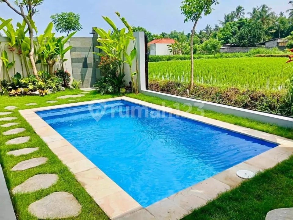 Beautiful Villa For Sale Or Rent In Lovina, North Bali - Image 2 of 4