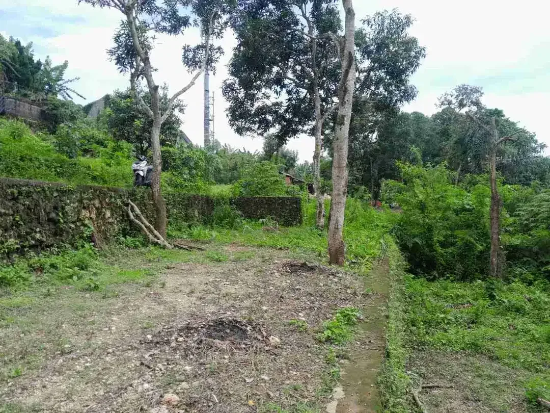 Lahan Langka padang Luwih dalung 1.7 are global 930 Juta SHM bebas banjir strategis - Image 7 of 10