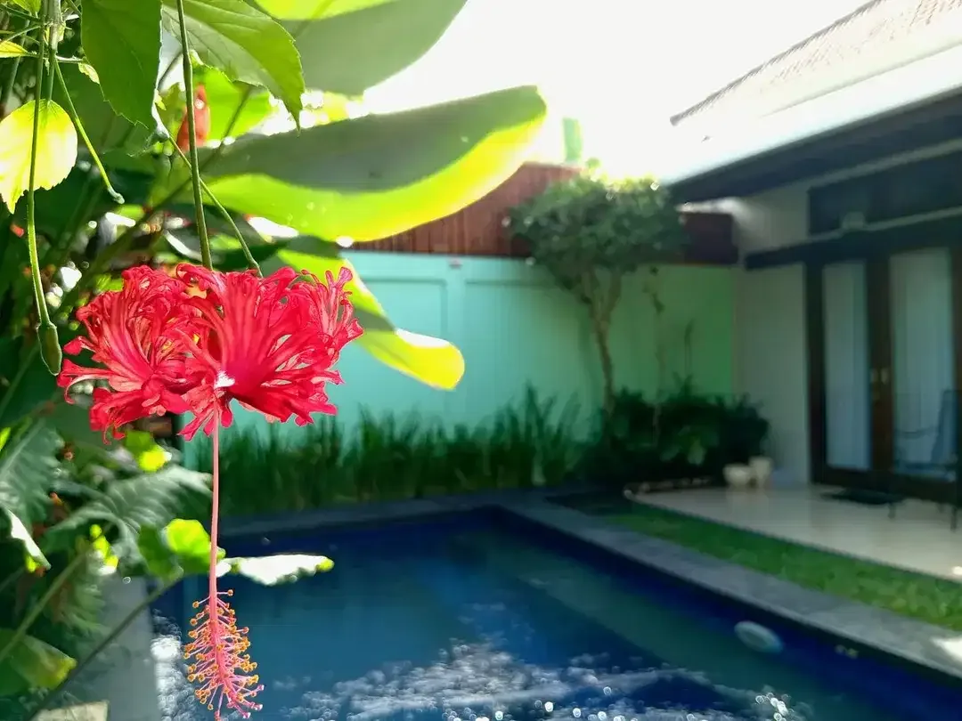 The Ultimate Family Retreat: Homey 6 Bedroom Freehold Villa Near Saba Beach! - Image 8 of 10