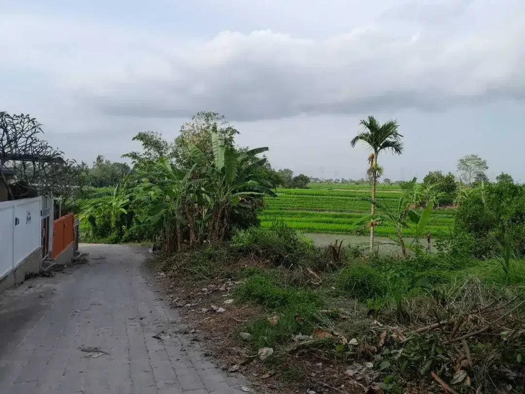Prime land of 650 sqm amidst rice fields for sale in Cepaka, Tabanan - Image 3 of 9
