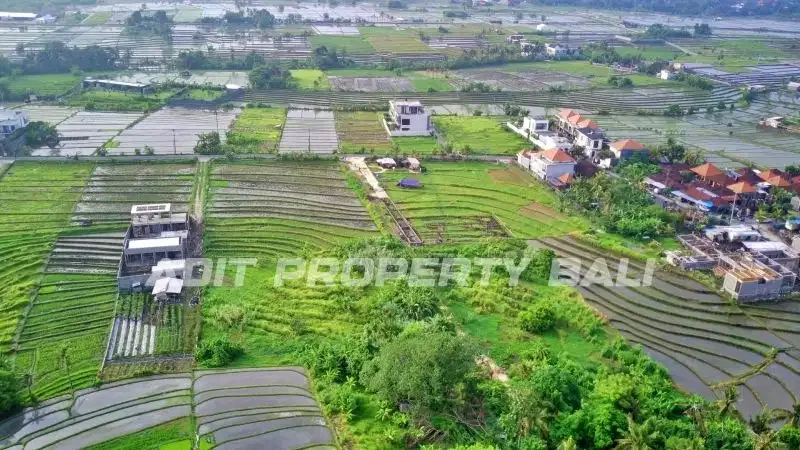 Tanah View Sawah Pantai Nyanyi Kediri Tabanan - Image 6 of 10