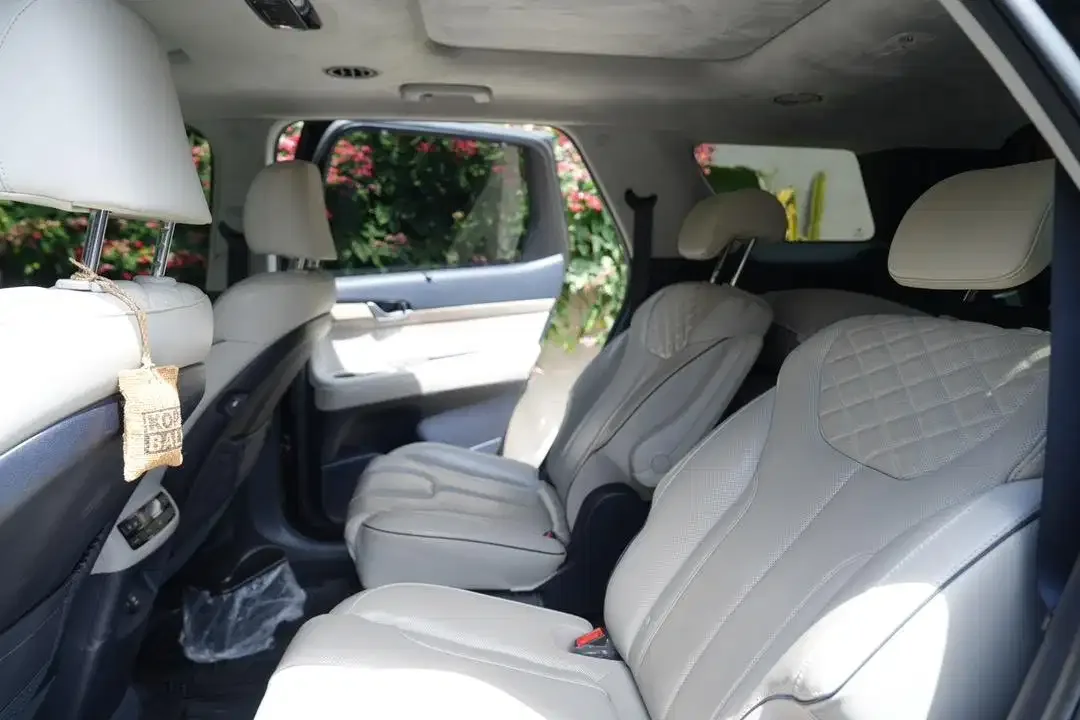 Hyundai Palisade 2022 Diesel - Image 10 of 10