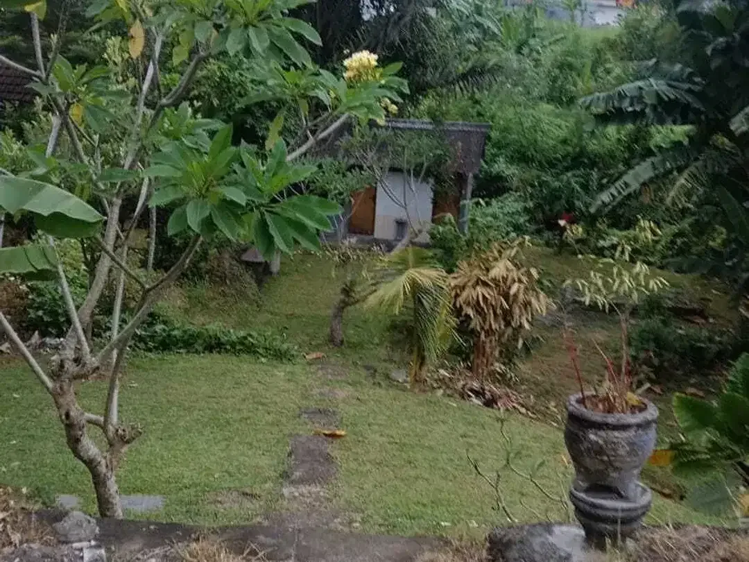 Land for sale in Kaba Kaba, Bali - Image 4 of 7