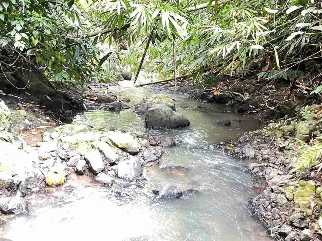 jual tanah di apit dua sungai di desa wisata manikyang, selemadeg tabanan bali. - Image 7 of 10