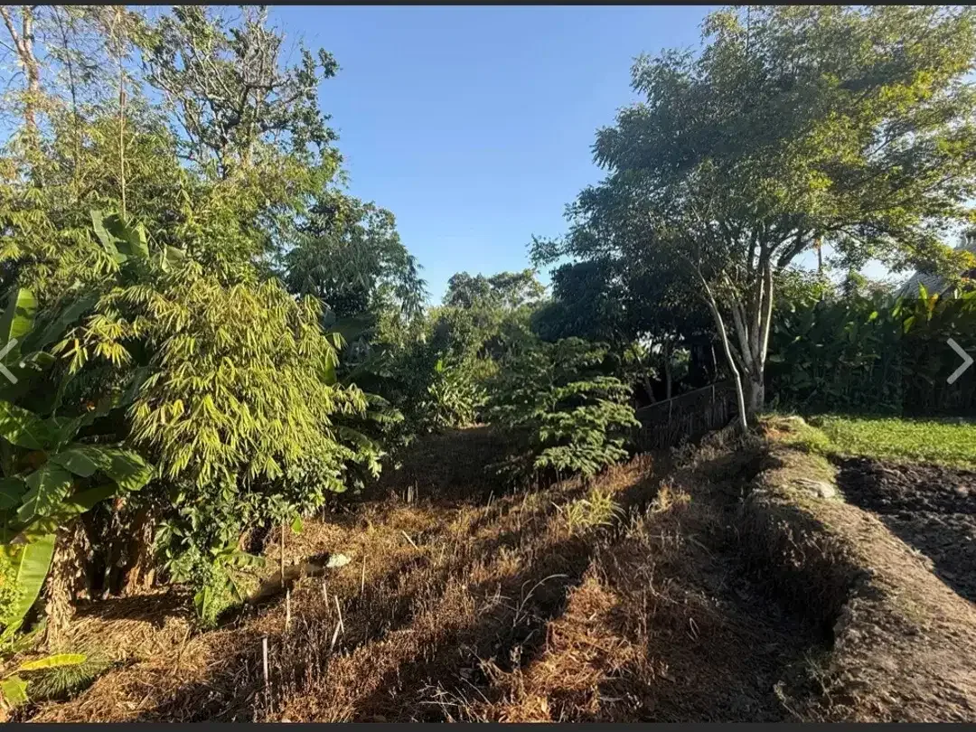Leasehold - Rare Riverside Leasehold Land in Padonan, Canggu Area - Image 6 of 7