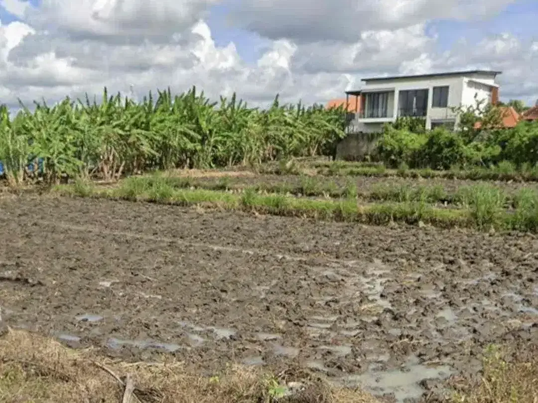 Dijual Tanah Strategis Jalan Sukawati Gianyar - Image 1 of 7
