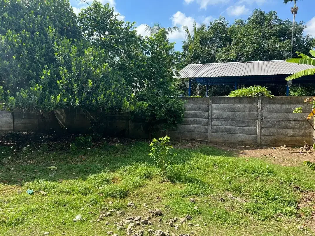 DIJUAL TANAH LOS SUNGAI NYANYI ZONA KUNING - Image 10 of 10