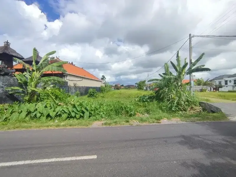 Tanah Raya Tegal Cupek Kerobokan Badung - Image 7 of 9