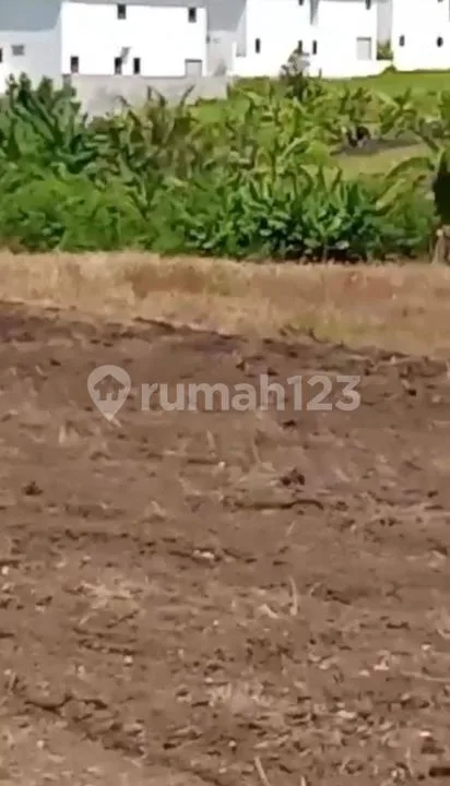 Tanah Premium Dekat Pantai Batu Bolong bisa Ambil Sebagian Canggu - Image 4 of 4