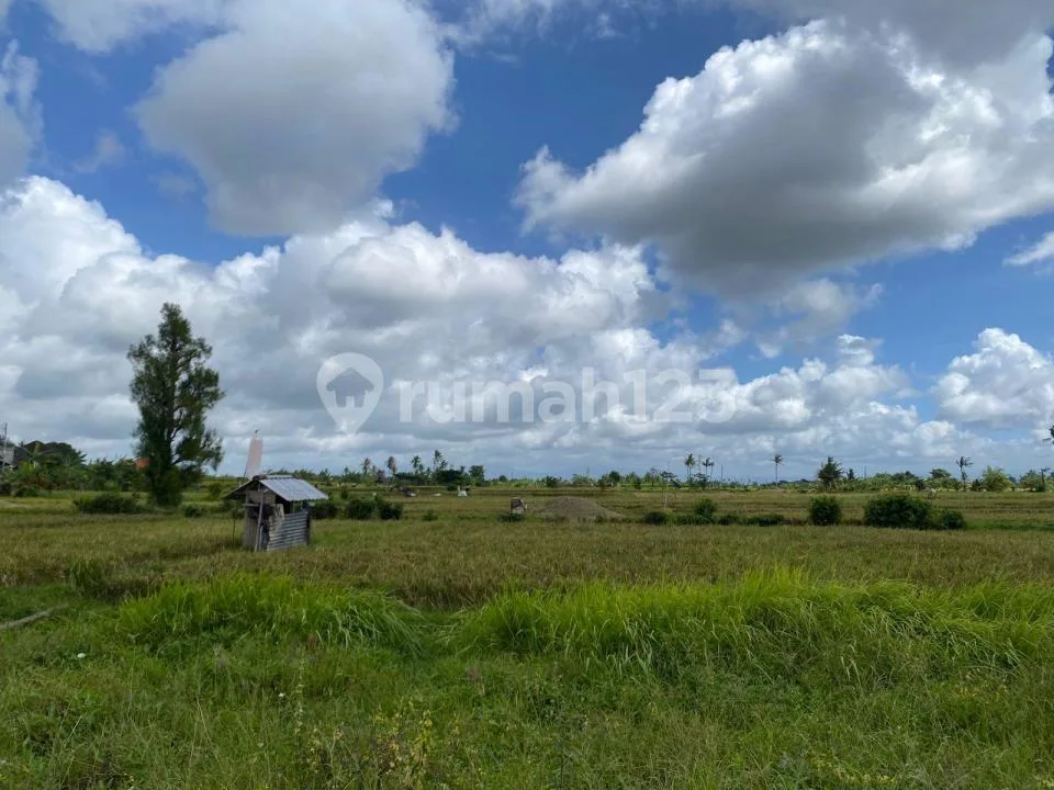 Tanah Jual Cepat SHM View Sawah Batubulan Gianyar - Image 2 of 4