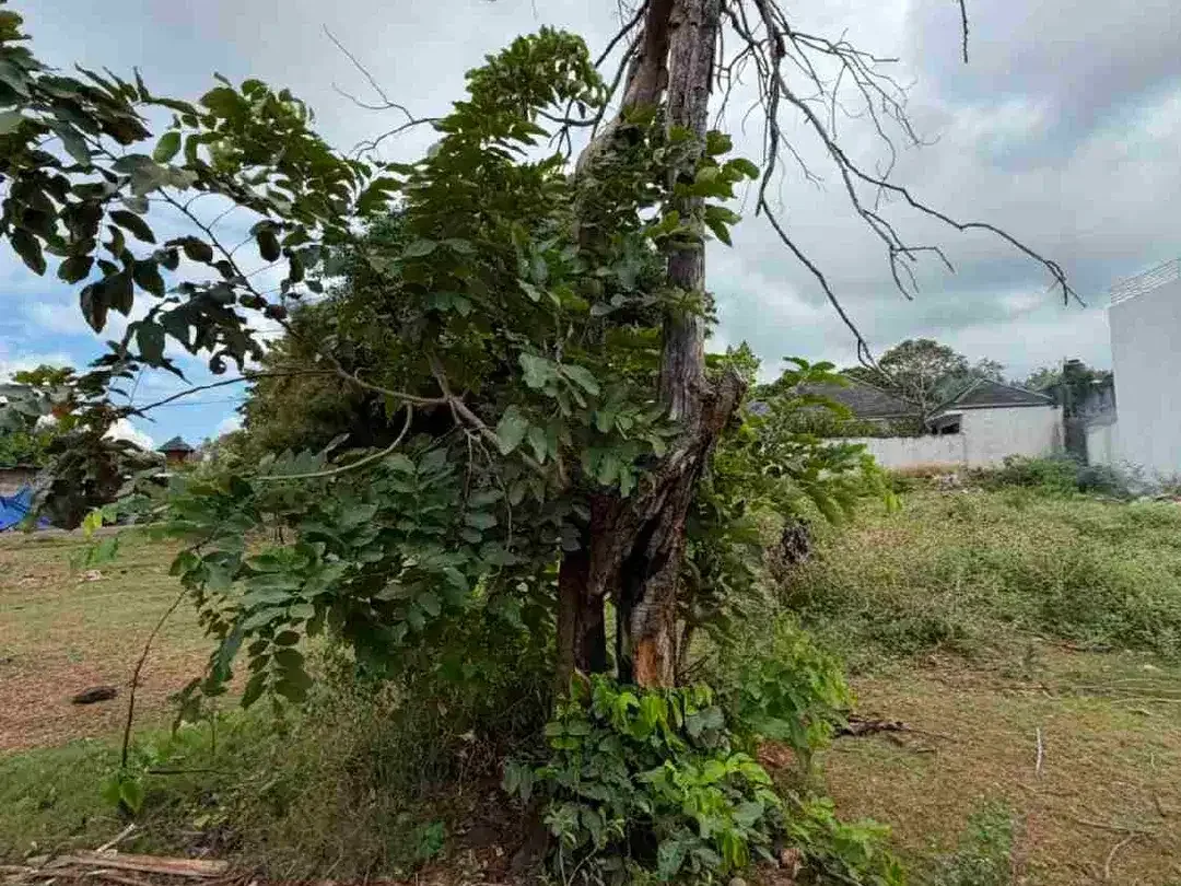 Dijual Tanah 200m2 Dekat Pantai Melasti Ungasan - Image 7 of 10