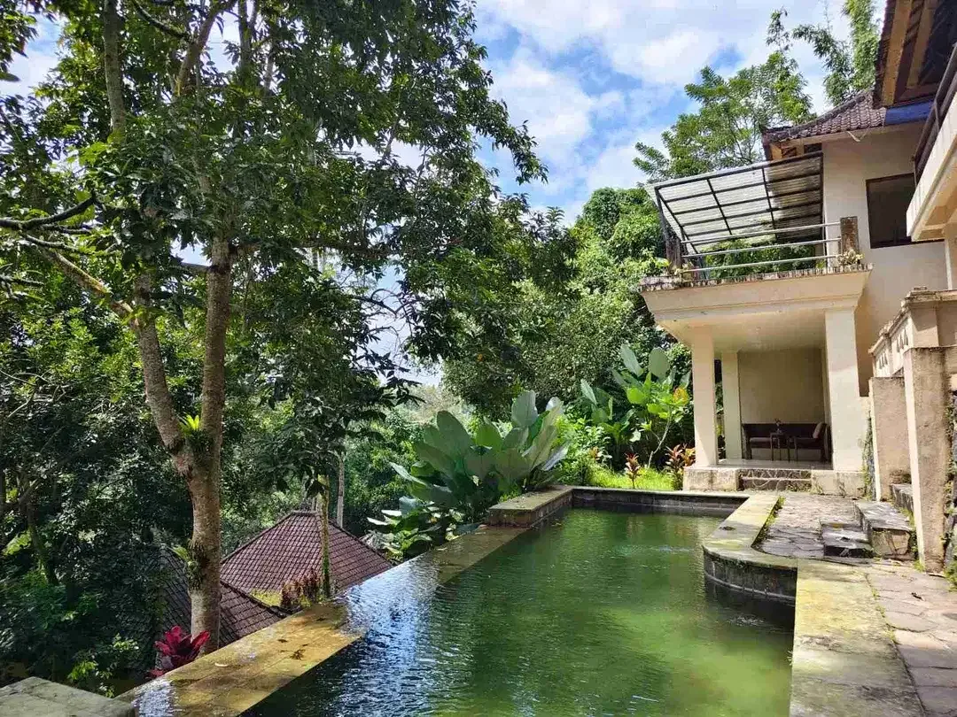 Dijual Cepat Tanah Bonus Bangunan Hotel di Kedewatan Ubud - Image 8 of 10