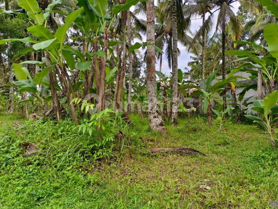 Freehold/Dijual Tanah Los Sungai Wos, - Image 3 of 4
