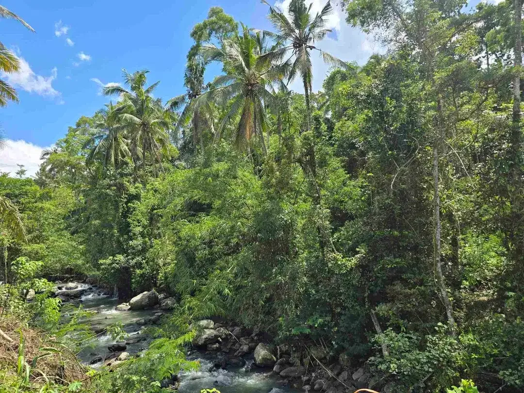 dijual tanah kecil los sungai air jernih bebatuan di penebel tabanan bali - Image 3 of 10