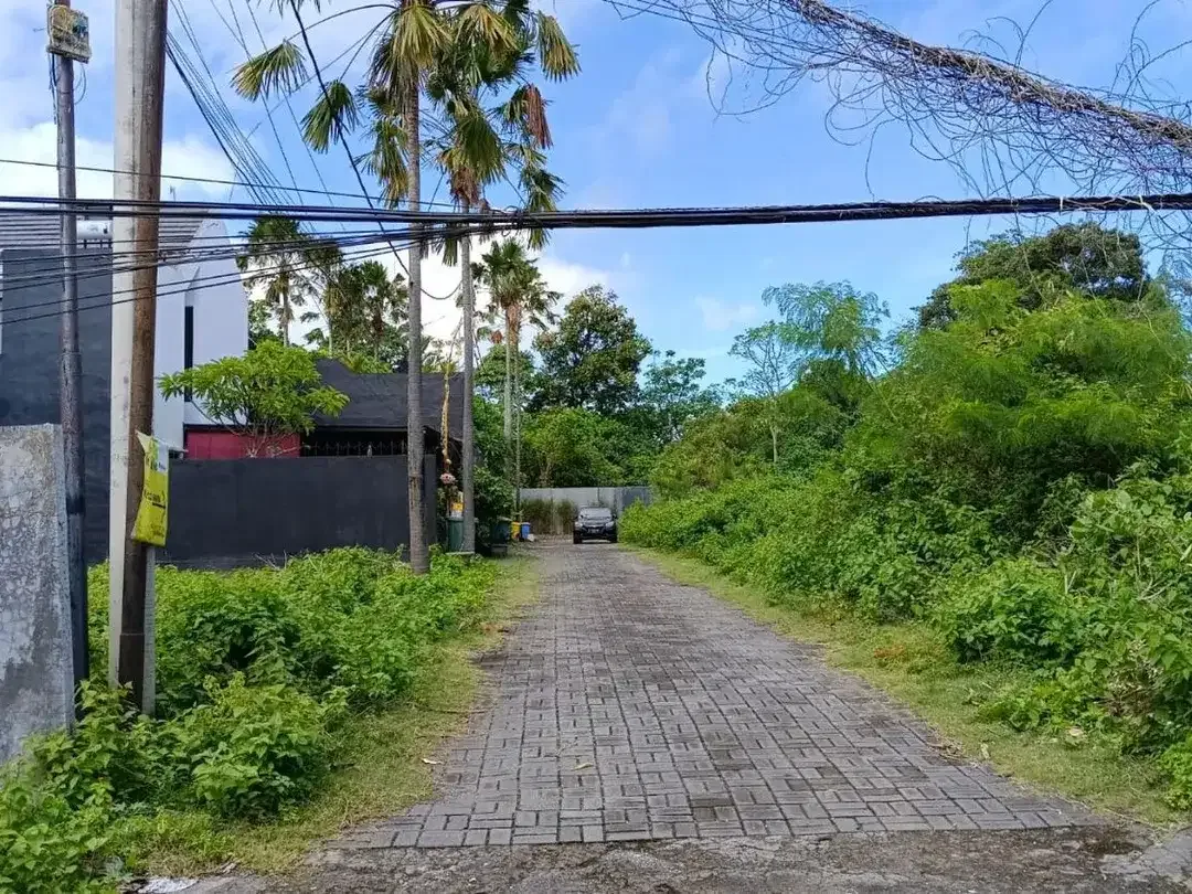 Freehold - Rare Opportunity Land in Strategic Location Seminyak - Image 5 of 6