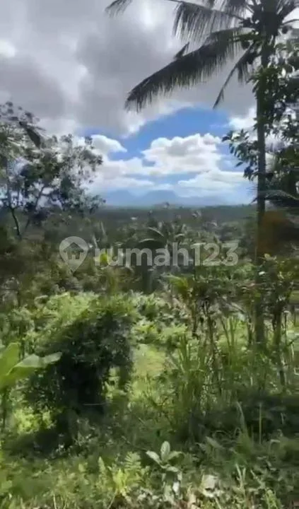 Tanah 2200M Payangan Ubud Dekat Resort Zona Kuning - Image 3 of 4
