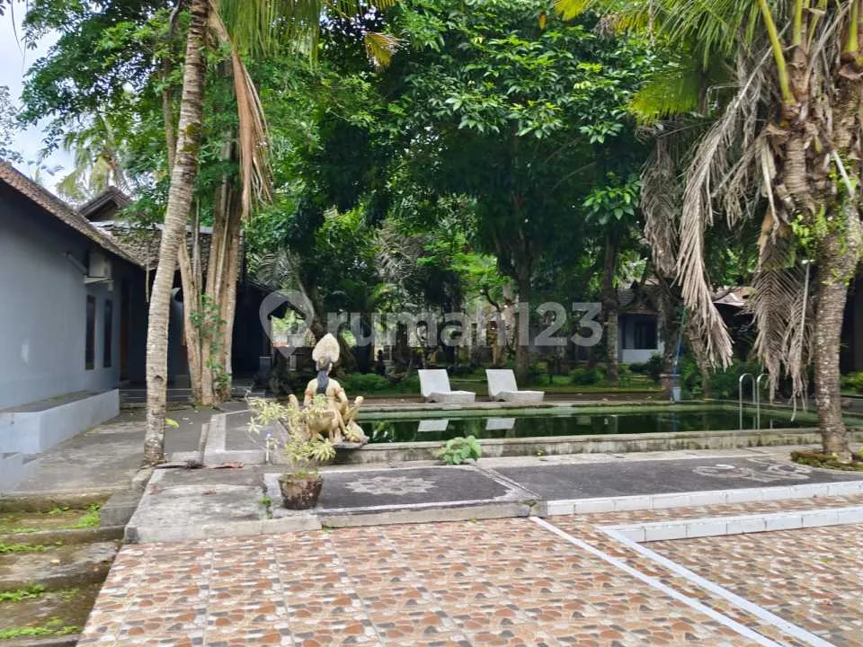 Dijual Tanah Dapat Resort View Jungle Lembah Dan Sungai Di Ubud - Image 3 of 4