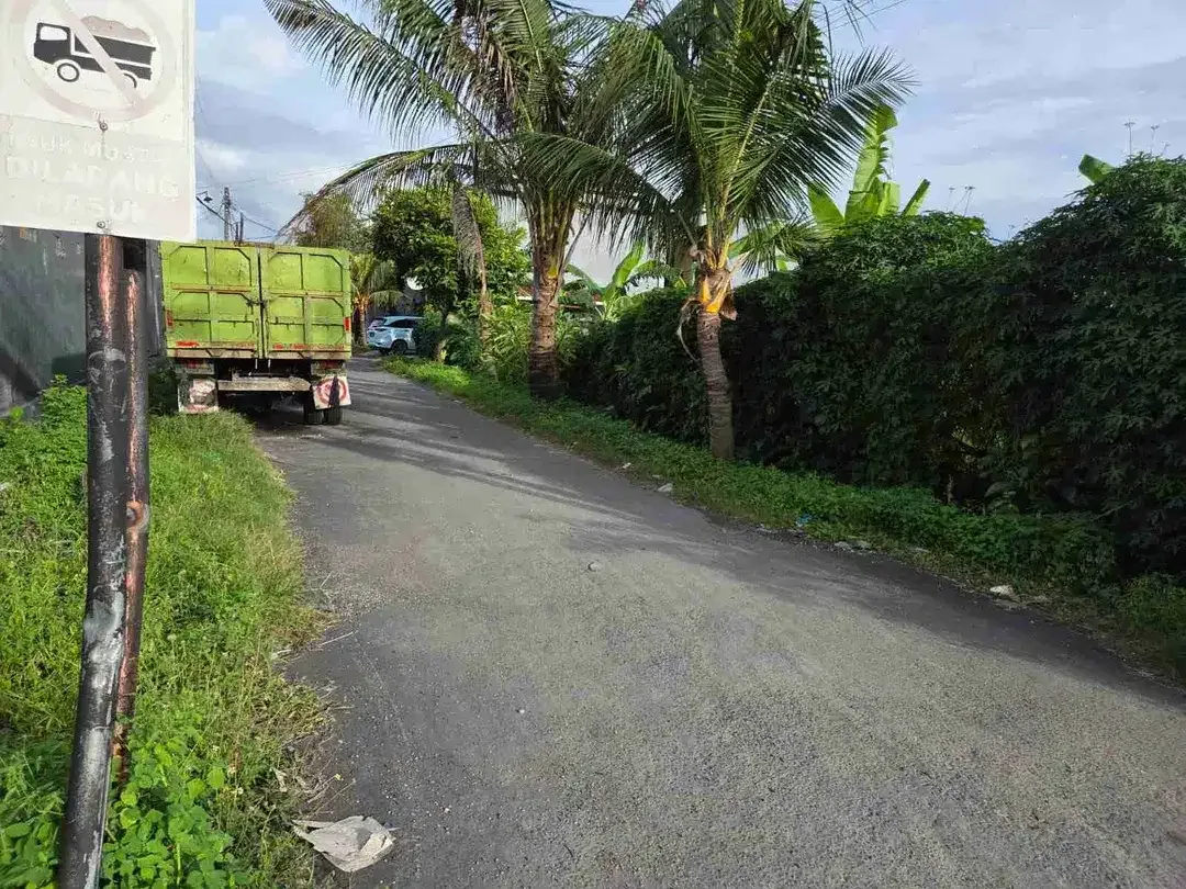 Tanah - Image 9 of 10