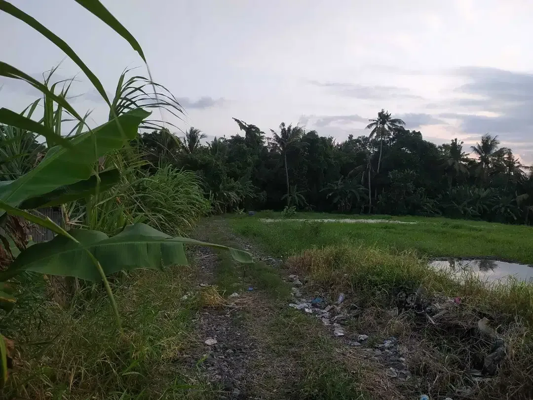 LAND FOR SALE NEAR TANAH LOT TABANAN - Image 4 of 10